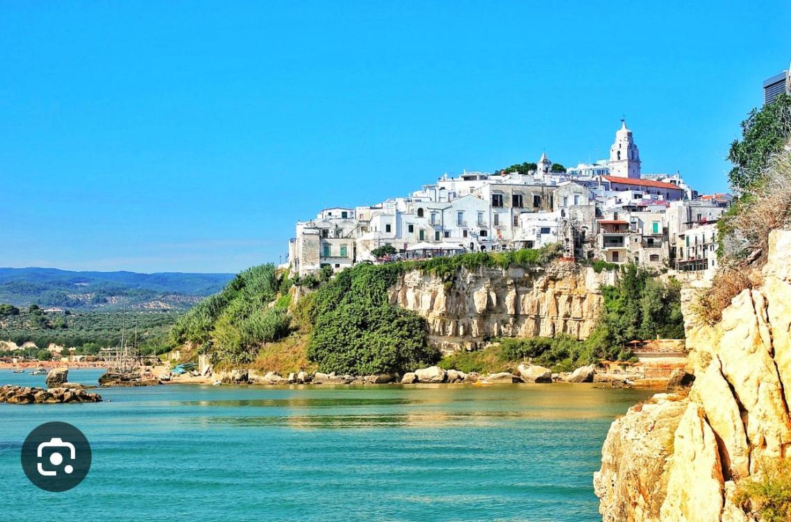 B&B Tra Le Vie Del Borgo Vieste Buitenkant foto